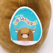 Load image into Gallery viewer, 12&quot; Wilfred The Bison Squishmallows
