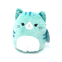Load image into Gallery viewer, 8&quot; Corinna The Teal Cat Squishmallows
